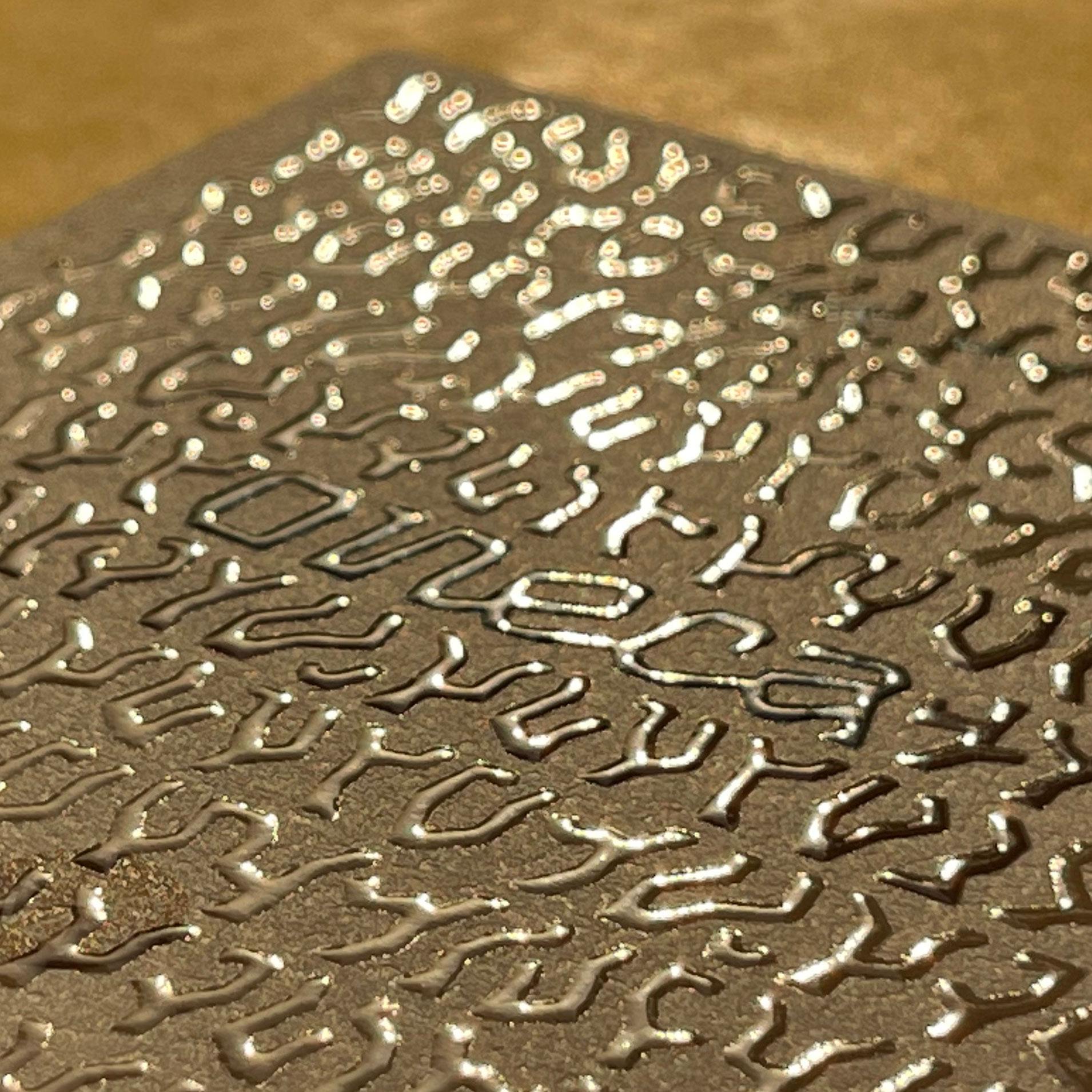 Etiqueta Oneca con ltrama de cepas y logotipo con iluminación natural para destacar el barniz 3D diseño de Asis Bastida